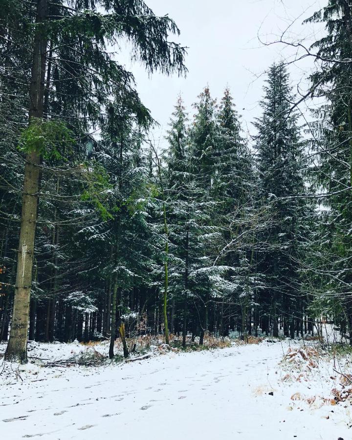 Beskid Wood Houses Jasnowice Екстер'єр фото